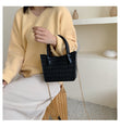 small handbag