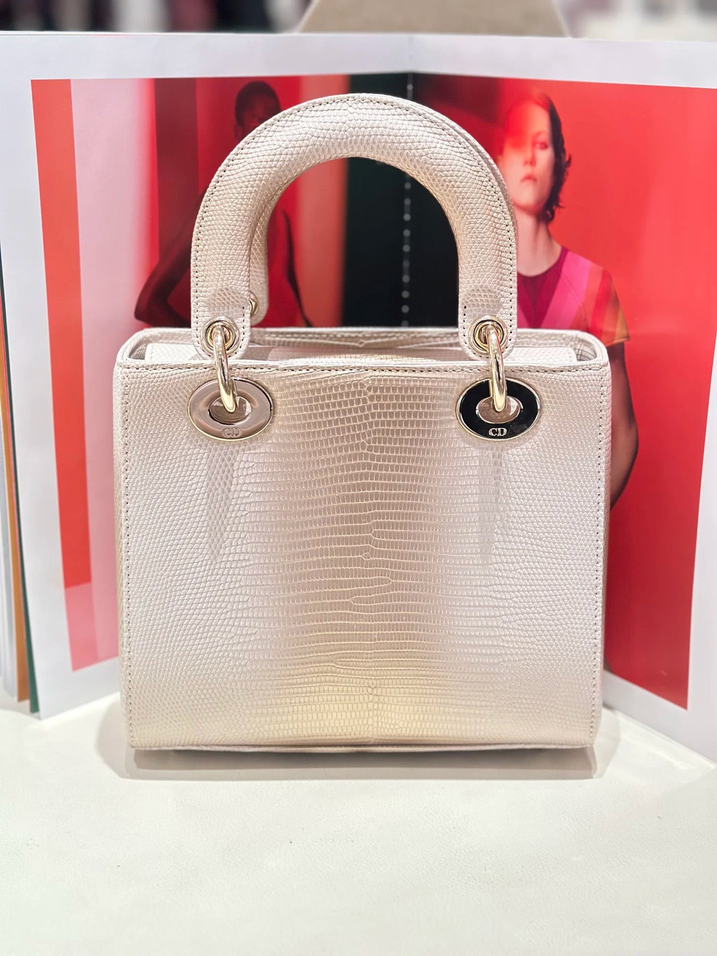 Dior Colorblock Bag – Bold, Chic, and Unapologetically Stylish